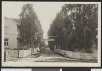 15. 2263 Fra Magnor - no-nb digifoto 20150724 00061 bldsa PK27901.jpg