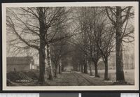 36. 2338 Arneberg - no-nb digifoto 20150810 00038 bldsa PK30183.jpg