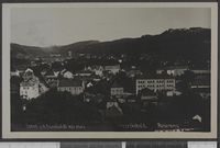110. 2363. Fredrikshald. Panorama - no-nb digifoto 20151125 00109 bldsa PK13241.jpg