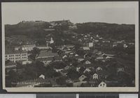 109. 2366. Fredrikshald. Panorama - no-nb digifoto 20151125 00110 bldsa PK13242.jpg