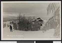 Slaktern, ukjent dato. Foto: Ukjent / Nasjonalbiblioteket