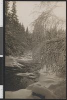 130. 24 Fra Mesna - no-nb digifoto 20151130 00223 bldsa PK35748.jpg