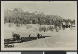 Tømmerkjøring ved Bonna. Foto: Ukjent / Nasjonalbiblioteket