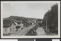 107. 259 Brumundalen - no-nb digifoto 20150811 00033 bldsa PK26243.jpg