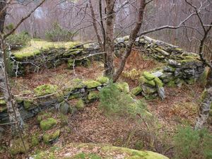 26160 Fuglsnes - steinruin.jpg