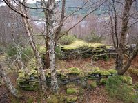 135. 26161 Fuglsnes - steinruin.jpg