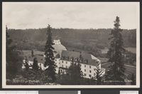 127. 2624 Høstbjør pr Hamar - no-nb digifoto 20150811 00009 bldsa PK26188.jpg