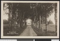 59. 2692 Kongsvinger Skinnarbøl-Alleen - no-nb digifoto 20150804 00055 bldsa PK28529.jpg