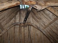 Foto: Olve Utne (2012).