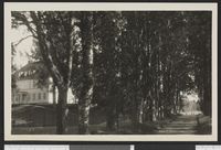 6. 2865 Lunderby - no-nb digifoto 20150724 00060 bldsa PK27900.jpg