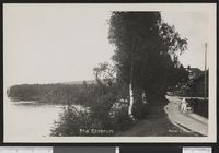 28. 28 Fra Elverum - no-nb digifoto 20150803 00085 bldsa PK24755.jpg