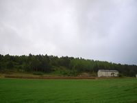 149. 29585j Haltbakkan Ertvågsøya - hesjing.jpg