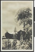 Vinterbilde Foto: C.A. Erichsen/Nasjonalbiblioteket (1910-1911).