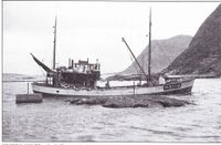 Her er MB «Pokal» M-80-Hø ved innløpet til hamna i Fosnavågen.