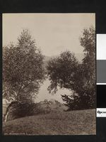 1. 302. Hardanger, Ulvik - NB bldsa AL0302.jpg