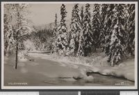 137. 308 Lillehammer - no-nb digifoto 20151130 00209 bldsa PK35575b.jpg