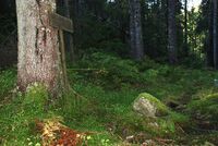 Lesarlyftet, løftestein på 71 kg. Foto: Torfinn Normann Hageland.