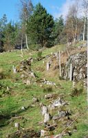 Fjellmannsvegen går egentlig opp ei trappelagt kleiv som nå er gjengrodd, innom tunet på Einstabland, men en kan betrakte denne fra kjørevegen. Foto: Torfinn Normann Hageland