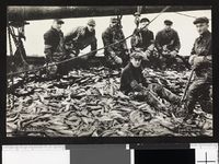 Fra sildefisket i 1930-åra. Utgitt av G. Sverdrup. Foto: Ukjent / Nasjonalbiblioteket (1930–1934). .