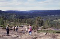 Utsyn fra Lauvåsheia mot Årdalsnapen i Setesdal. Folk på veg mot nord. Foto: Torfinn Normann Hageland.