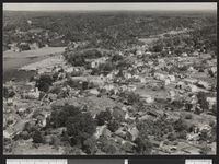 37. 33 C 1 Son - no-nb digifoto 20150904 00072 bldsa PK24379.jpg