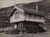 214. 350. Stabur paa Haukelidsæter Thelemarken, 1893 - no-nb digifoto 20130214 00006 bldsa FA1222.jpg