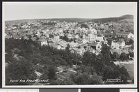 176. 360. Parti fra Fredriksstad. - no-nb digifoto 20150807 00168 bldsa PK06293.jpg