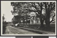 28. 384. Moss, Helgerødgaten, Jeløen - no-nb digifoto 20150227 00143 bldsa PK30452.jpg