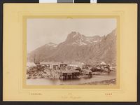 24. 39. Svinøen i Lofoten - no-nb digifoto 20140313 00010 bldsa fFA00155.jpg