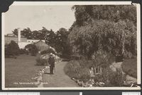 76. 41. Fra Tøienhaven, Christiania - no-nb digifoto 20150126 00277 bldsa PK11410.jpg