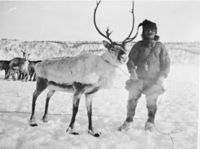 I 1931 fant Mathis Aslaksen Siri to av pilspissene som er kjent fra Reisadalen. Foto: NTRM