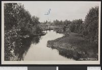 29. 447 "Jdyl" fra Arneberg - no-nb digifoto 20150810 00012 bldsa PK30129.jpg