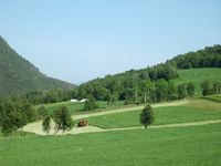 Slåttonn med fôrhaustar. Foto: Olve Utne, 2008.