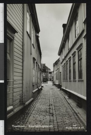 47 Trondhjem Enkeltskillingsveiten - no-nb digifoto 20150622 00491 bldsa PK17467.jpg