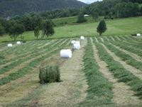 Rundballeproduksjon. Foto: Olve Utne, 2008.