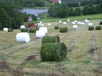 Rundballeproduksjon. Foto: Olve Utne, 2008.