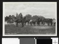 66. 5. Fra Østre Fredriksstad - no-nb digifoto 20140903 00040 blds 06912.jpg