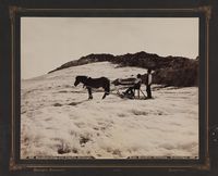 Hesteskyss over Folgefonna. Foto: Brødrene Brunskow (1892).