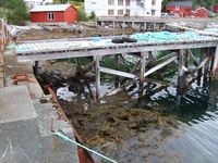 142. 5821 Gullstein ferjekai.jpg