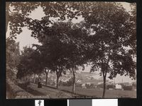 89. 606. Molde fra Fanestrands-alleen - no-nb digifoto 20151109 00166 bldsa AL0606.jpg