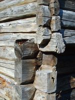 23. 6089 Mjoenfjoset nov.jpg