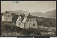 24. 608 Fra Alvdal - no-nb digifoto 20150722 00018 bldsa PK27869.jpg