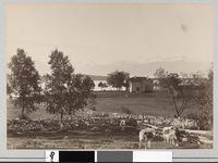 96. 610. Molde, Udsigt mod Romsdalsfjeldene - no-nb digifoto 20151109 00168 bldsa AL0610.jpg