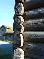 29. 6100 Detlistua nov.jpg