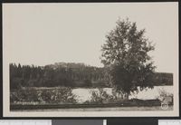 30. 61 Kongsvinger - no-nb digifoto 20150803 00240 bldsa PK28472.jpg