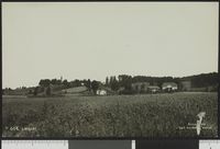 109. 684 Langset - no-nb digifoto 20150901 00017 bldsa PK23038.jpg