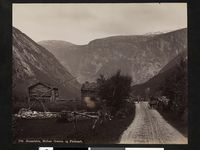 198. 705. Romsdalen, Mellem Ormeim og Fladmark - no-nb digifoto 20151109 00132 bldsa AL0705.jpg