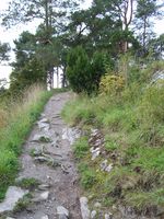 7117 Reknesparken.jpg