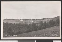 145. 7150 Parti fra Brøttum - no-nb digifoto 20150811 00039 bldsa PK26162.jpg