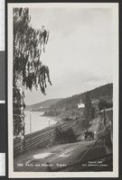296. 7260 Parti ved Mjøsen. Espen - no-nb digifoto 20150806 00088 bldsa PK27320.jpg